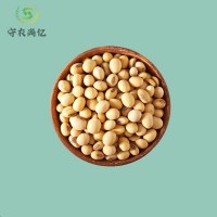 黑龙江特产黄豆新自种打豆浆大豆芽豆2500g
