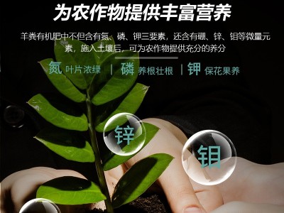 花诺高温腐熟发酵羊粪有机肥瓜果蔬菜绿植花卉果疏微生物肥料羊粪图3