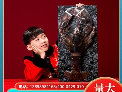 批发加拿大龙虾礼盒 冷冻大龙虾 餐饮食材供应海鲜水产品送礼佳品图5