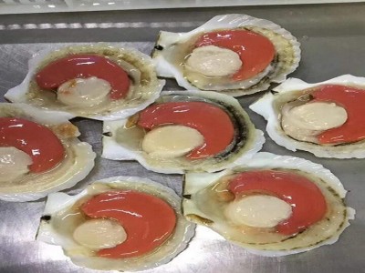 东港特产超大冷冻半壳贝冷冻半壳夏威夷贝 蒜蓉粉丝贝半壳夏贻贝图4