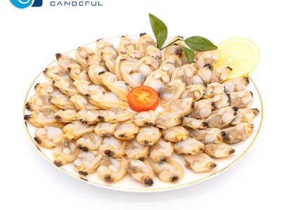 去沙 花蛤肉 真空杂色蛤肉 东港冻煮杂色蛤花甲肉 单冻丹东蛤蜊肉图3