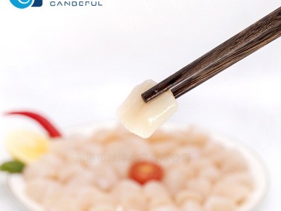 Q弹鲜贝柱 扇贝丁 扇贝 冷冻鲜贝柱 批发冰鲜扇贝鲜瑶贝柱扇贝柱图4