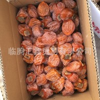 山东柿饼厂家柿饼白霜柿饼软糯溏心礼盒散装柿饼自制吊饼环翊