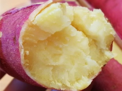 陕西板栗红薯新鲜沙地红薯黄白10斤蜜薯地瓜农家自种粉烤番薯5斤图1