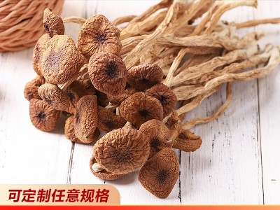 新货 云南茶树菇 食用菌南北干货 产地货源现货 批发零售一件代发图1