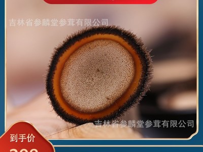 鹿茸白粉片男性泡酒滋补品半男用半蜡片药材东北商务送礼伴手礼品图1