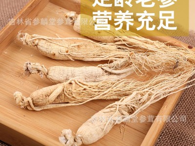 集安边条生晒参代打粉中老年滋补泡酒煲汤长白山人参整枝白参图2