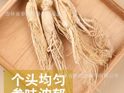 集安边条生晒参代打粉中老年滋补泡酒煲汤长白山人参整枝白参图3