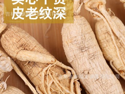 集安边条生晒参代打粉中老年滋补泡酒煲汤长白山人参整枝白参图5