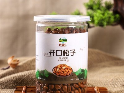 岭菌仁松子罐装500g零食坚果干果大兴安岭东北特产松子批发图1