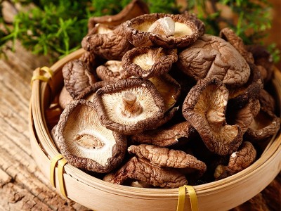 干香菇肉厚东北蘑菇干货小鸡炖蘑菇肉厚农家金钱菇食用菌批发图3