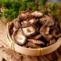 干香菇肉厚东北蘑菇干货小鸡炖蘑菇肉厚农家金钱菇食用菌批发