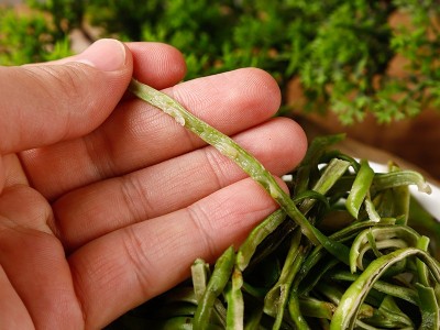 豆角丝东北土特产干豆角丝200g农家油豆角丝脱水干菜新货图4