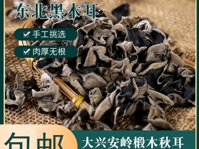 东北黑木耳 大兴安岭干货500g装无根食用木耳批发 椴木秋木耳图2