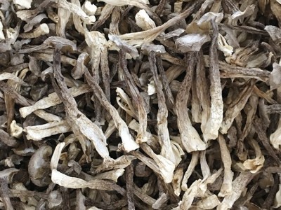 鹿茸菇鹿茸菌干货500g土特产农副产品食用菌酒店食材批发产地直供图2