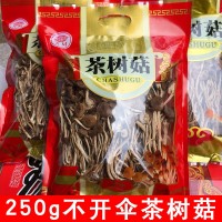 福建干茶树菇批发茶树菇茶树菇干货散装原产地直销批发 500g