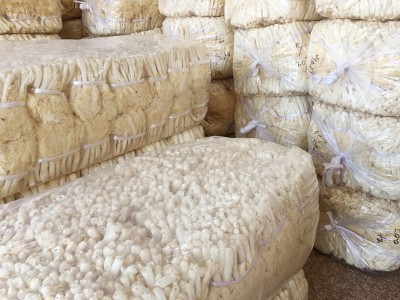古田新货竹荪干货批发 无硫长裙竹荪500g竹笙 食用菌基地产地直销图4