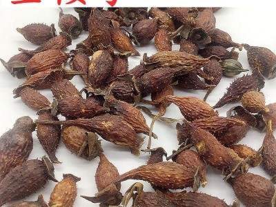 批发 金樱子 刺榆 欢迎询价 量大从优@巨鼎药业图3