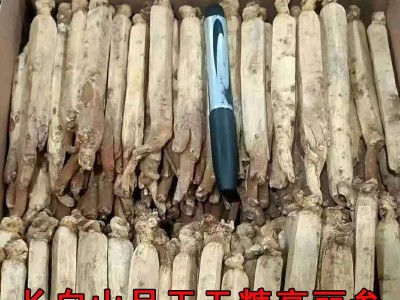 高丽参黄马褂 6年根黄皮别直参红参整支高丽参批发礼盒500克图5