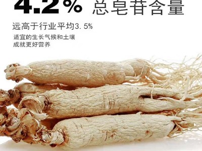 长白山干人参东北原皮白参吉林生晒参大支一斤装白参全须500g干参图3