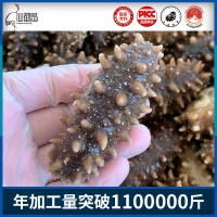 源头工厂即食海参 大连即食海参 500g 生鲜即食海参批发 4-30头