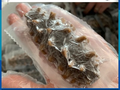 一手货源 大连海参批发 即食海参 鲜食海参500克图1
