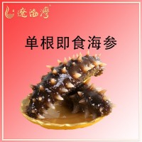 辽渤湾大连刺参即食海参鲜食批发冷冻海鲜辽参礼盒非干货顺丰空运