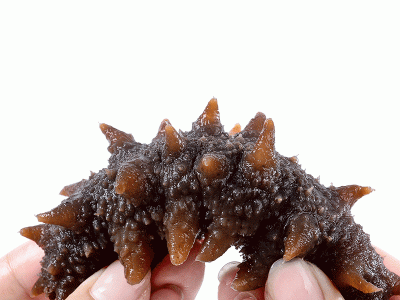 辽渤湾大连即食海参工厂批发冷冻辽刺参海鲜礼盒干货海参顺丰邮图5