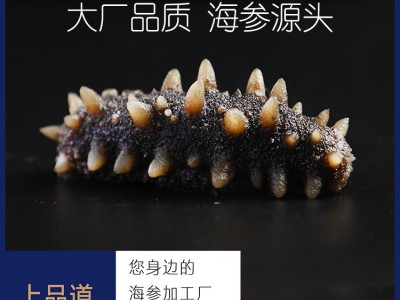 大连即食海参批发辽刺参非干货厂家直供一件代发500g图1