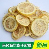 散装四川安岳蜂蜜冻干柠檬干片 烘干柠檬片 花果茶 厂家批发柠檬