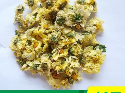 杭白菊朵花厂家批发桐乡菊花胎菊精选杭白菊花茶花果茶厂家直销图1