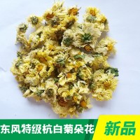 杭白菊朵花厂家批发桐乡菊花胎菊精选杭白菊花茶花果茶厂家直销