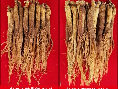 福贞堂参业厂家直销长白山人参东北特产源产地资质齐全无糖红参图1