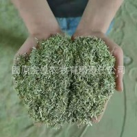 厂家种植新草豚鼠龙猫仓鼠紫花苜蓿草粉 刺猬牧草饲草30公斤袋装