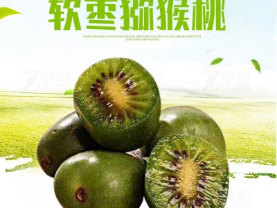 厂家供应软枣猕猴桃绿心软枣猕猴桃批发红心软枣猕猴桃图3