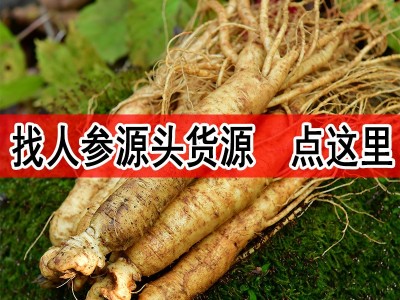 长白山鲜人参吉林带土鲜参东北特产人参煲汤泡酒500g顺丰包邮代发图2