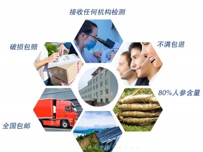 OEM代加工人参皂苷rh2长白山人参片压片糖果一件代发图5