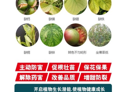 黄叶死苗一喷绿叶面肥料氨基酸水溶肥植物花卉微量元素通用营养液图5