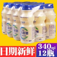 原味胃动力乳酸菌饮品整箱340ml*12瓶早餐酸奶益生元牛奶儿童饮料