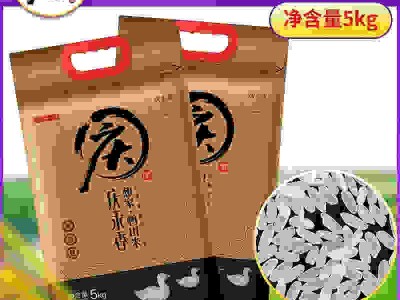 东北10斤装大米鸭田米5kg包邮 2020新米厂家直批图1