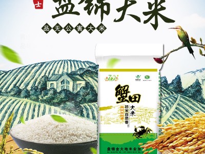 东北盘锦大米文士金大地厂家直批一件代发珍珠米蟹田新米袋装5kg图2