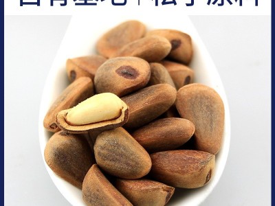 【源头工厂】生松子批发散装大颗粒野生东北大红松子树籽整箱坚果图1