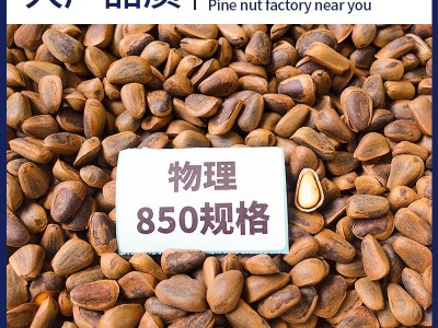 东北开口松子批发散装野生手剥拨红松子特大颗粒整箱坚果特级松籽图5