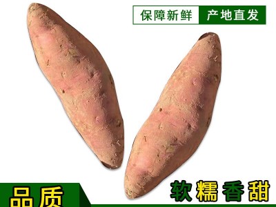 烟薯25蜜薯产地直发红薯糖心沙地番薯烤地瓜新鲜流油现挖软糯甜图1