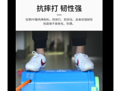 厂家直销背负式20L农用 电动喷雾器 农用喷雾机 打药机消毒机图4