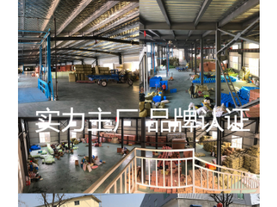厂家直销背负式20L农用 电动喷雾器 农用喷雾机 打药机消毒机图5