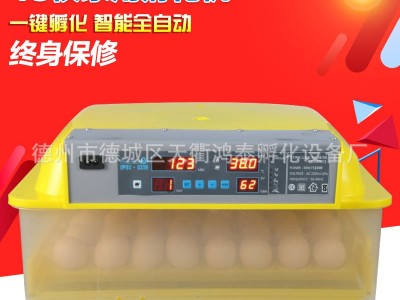 110V/48枚96枚112枚全自动孵化机孵化器孵化箱孵蛋器工厂直发批发图5