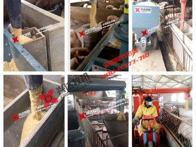 湖南自动化养猪设备 电动喂料车 养猪场喂料机 兴达牧机图1