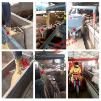 湖南自动化养猪设备 电动喂料车 养猪场喂料机 兴达牧机