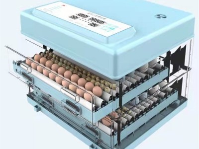 暖立方孵化器鸡蛋孵化机全自动家用型孵蛋器小型孵化机小鸡孵化器图2